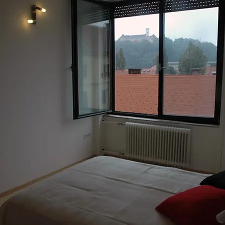 Ai * Ljubljana
